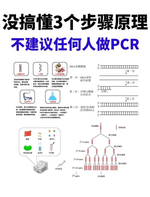 icleanerifile使用教程-图2