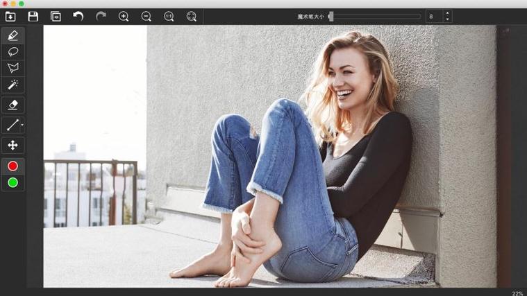 Teorex Inpaint教程怎么用？关键步骤有哪些？-图3