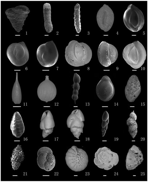 alienrespawn还原教程具体步骤是什么？-图3