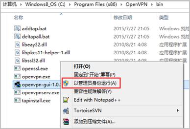 Windows OpenVPN教程如何快速配置连接？-图3