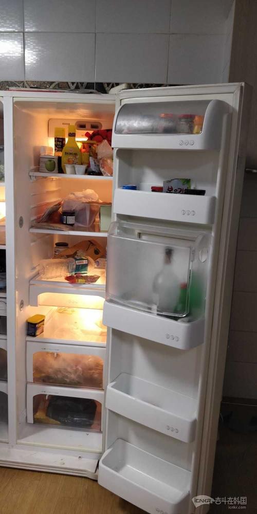 韩国DIOS冰箱品牌有何独特优势？-图1