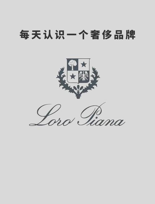 nolyou是什么品牌?-图1 nolyou是什么品牌?-图1