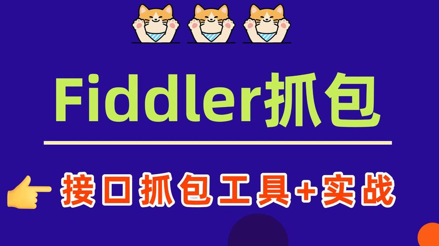Fiddler Watcher教程如何快速上手抓包分析？-图2