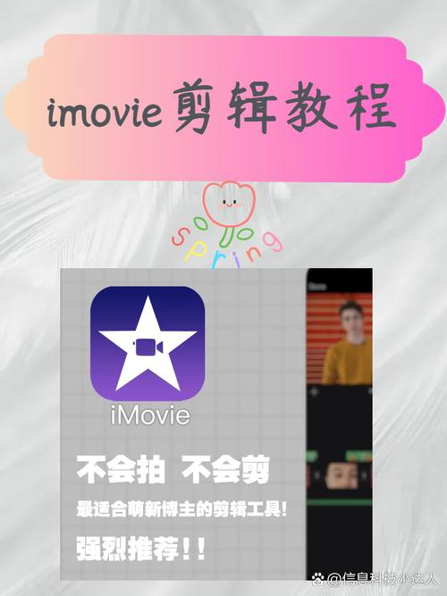 iMovie MacBook教程，新手如何快速上手？-图2