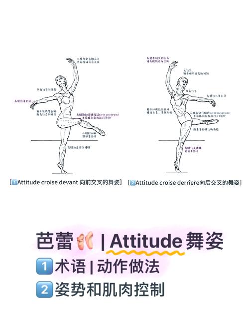 amarra symphony教程如何快速上手？-图2