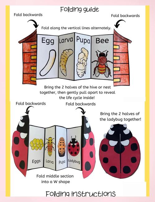 Fundy Designer教程从哪开始学?-图3 Fundy Designer教程从哪开始学?-图3