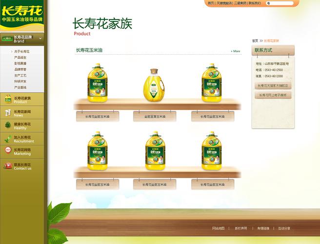 公司品牌Flash网站如何提升用户体验?-图1 公司品牌Flash网站如何提升用户体验?-图1