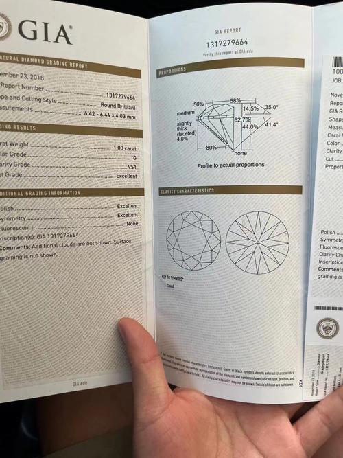 Gianna是哪个国家的品牌?-图3 Gianna是哪个国家的品牌?-图3