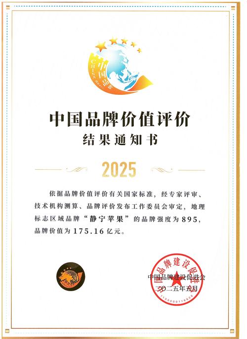 iPhone品牌授权有哪些具体类型？-图1