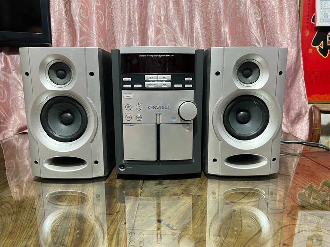 桌面音响品牌如何选？组合音响搭配技巧？-图2