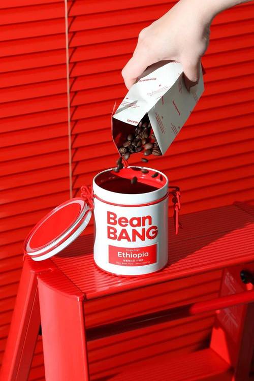 Bangho是哪个国家的品牌？-图2