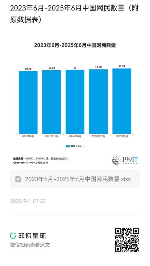 2025互联网使用数据将如何重塑生活？-图1