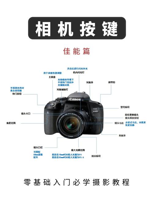 佳能600d新手怎么玩转单反?-图1 佳能600d新手怎么玩转单反?-图1