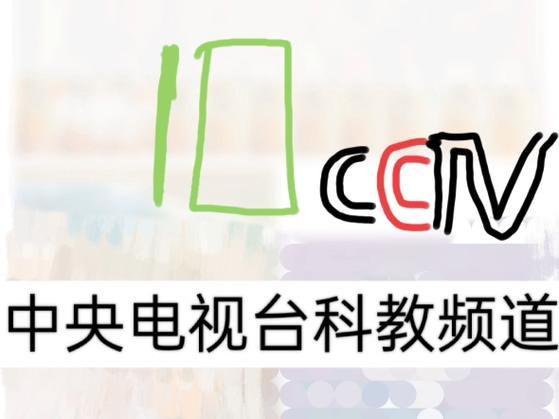 2010互联网品牌栏目有何亮点与启示?-图2 2010互联网品牌栏目有何亮点与启示?-图2