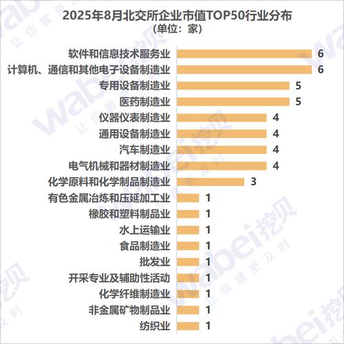 2025互联网企业市值谁将领跑？-图3