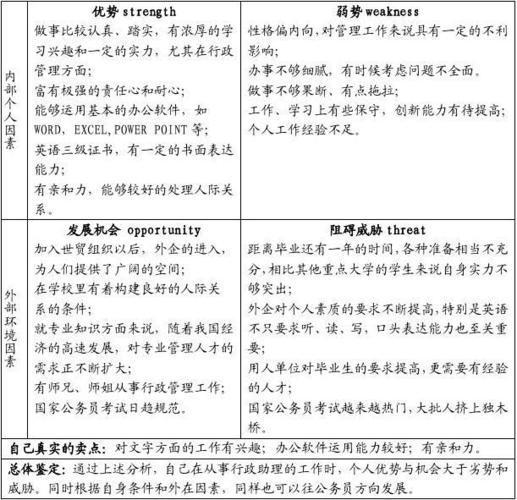 互联网SWOT分析，核心优势与挑战何在？-图3