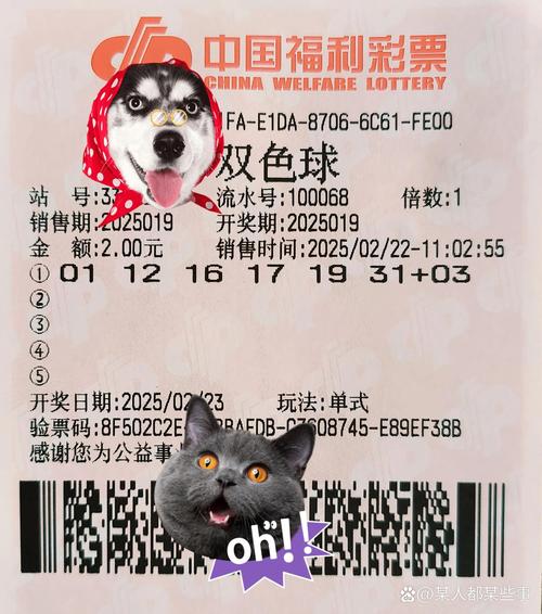 2025互联网彩票销量会增还是降？-图2