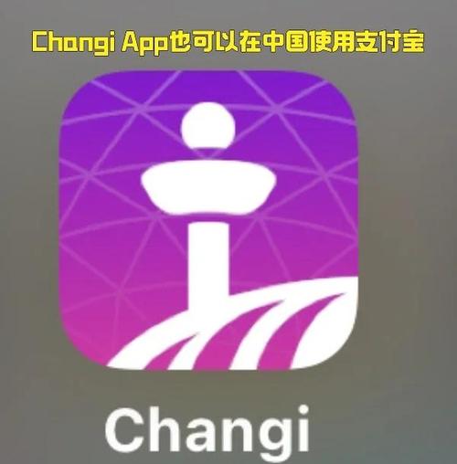 新加坡互联网支付平台有何独特优势?-图3 新加坡互联网支付平台有何独特优势?-图3