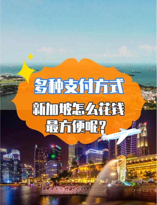 新加坡互联网支付平台有何独特优势?-图2 新加坡互联网支付平台有何独特优势?-图2