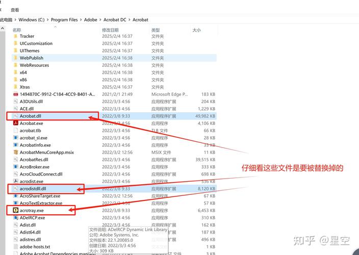 ACDSee Pro 6使用教程有哪些核心技巧？-图1