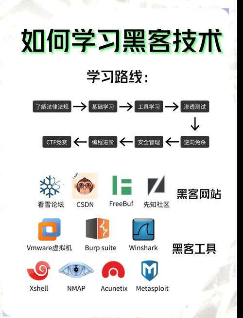 director 11完全自学教程-图2 director 11完全自学教程-图2