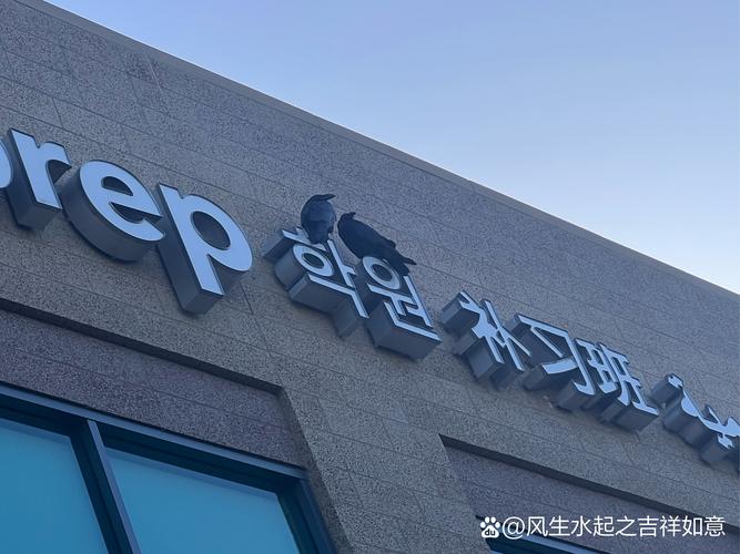 solaris哪里品牌-图2