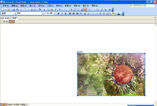 FrontPage 2003教程视频哪里学？-图1