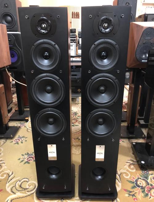 法国音响品牌有哪些品牌-图1 法国音响品牌有哪些品牌-图1