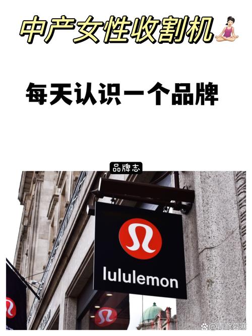 hellolulu品牌-图2 hellolulu品牌-图2