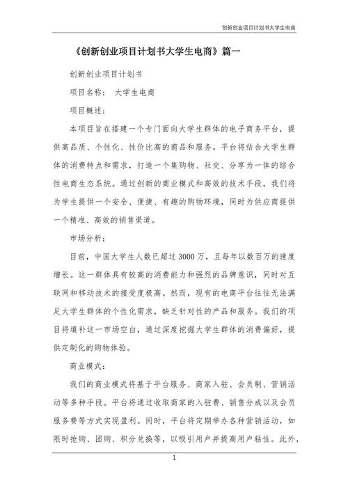 互联网 项目创业计划书-图3