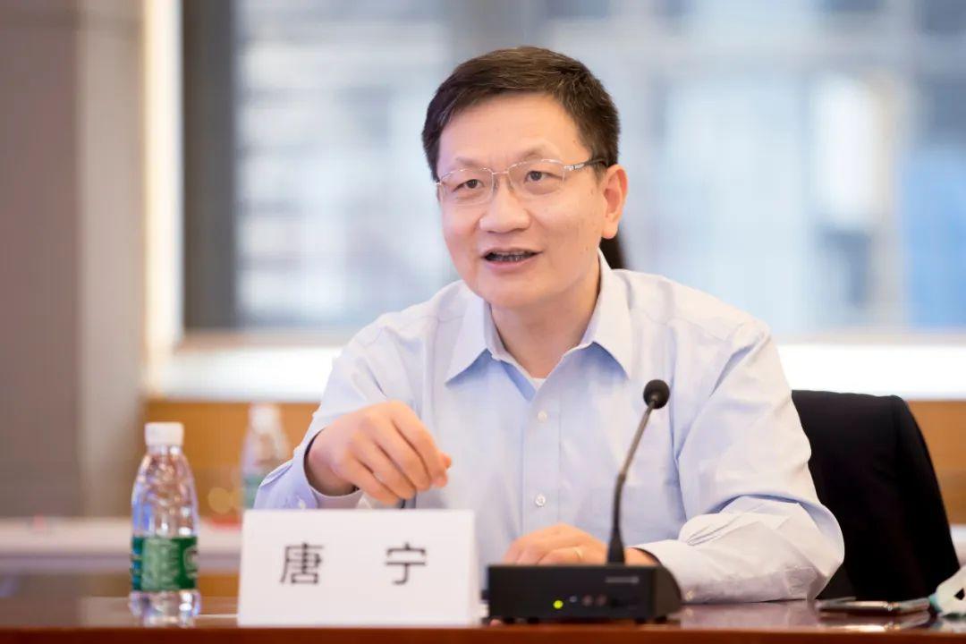 唐宁与宜信如何重塑互联网金融？-图2