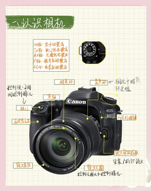 Photo Theater教程怎么学？入门步骤有哪些？-图2