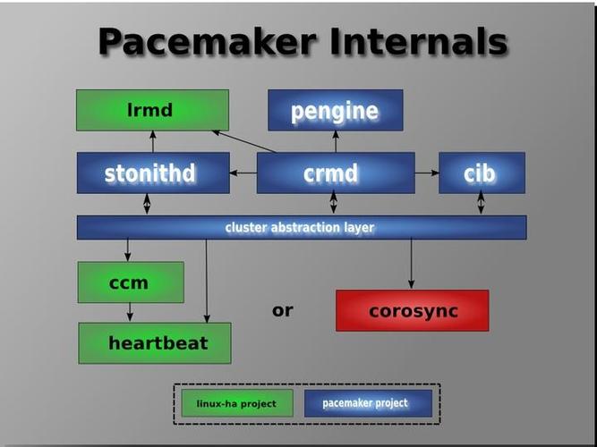 Pacemaker App怎么用？新手必学教程来了！-图1