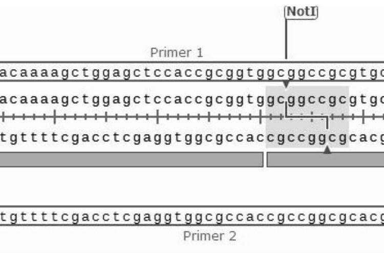 Statistica 12教程如何快速入门？-图2