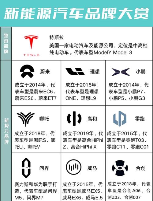 新能源电动汽车十大品牌有哪些？-图1