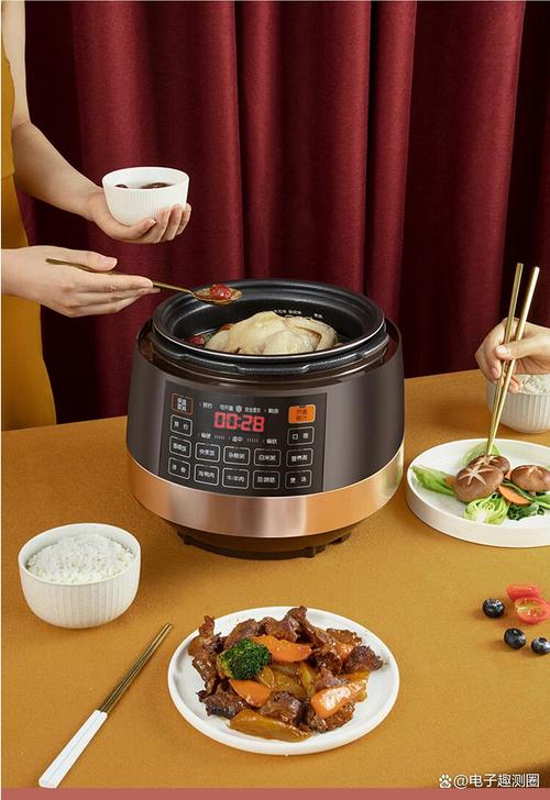 什么品牌电压力锅最值得买?-图2 什么品牌电压力锅最值得买?-图2