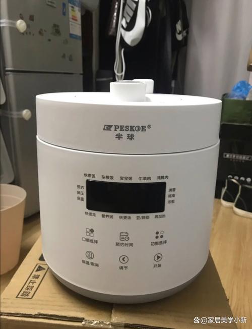 什么品牌电压力锅最值得买?-图1 什么品牌电压力锅最值得买?-图1