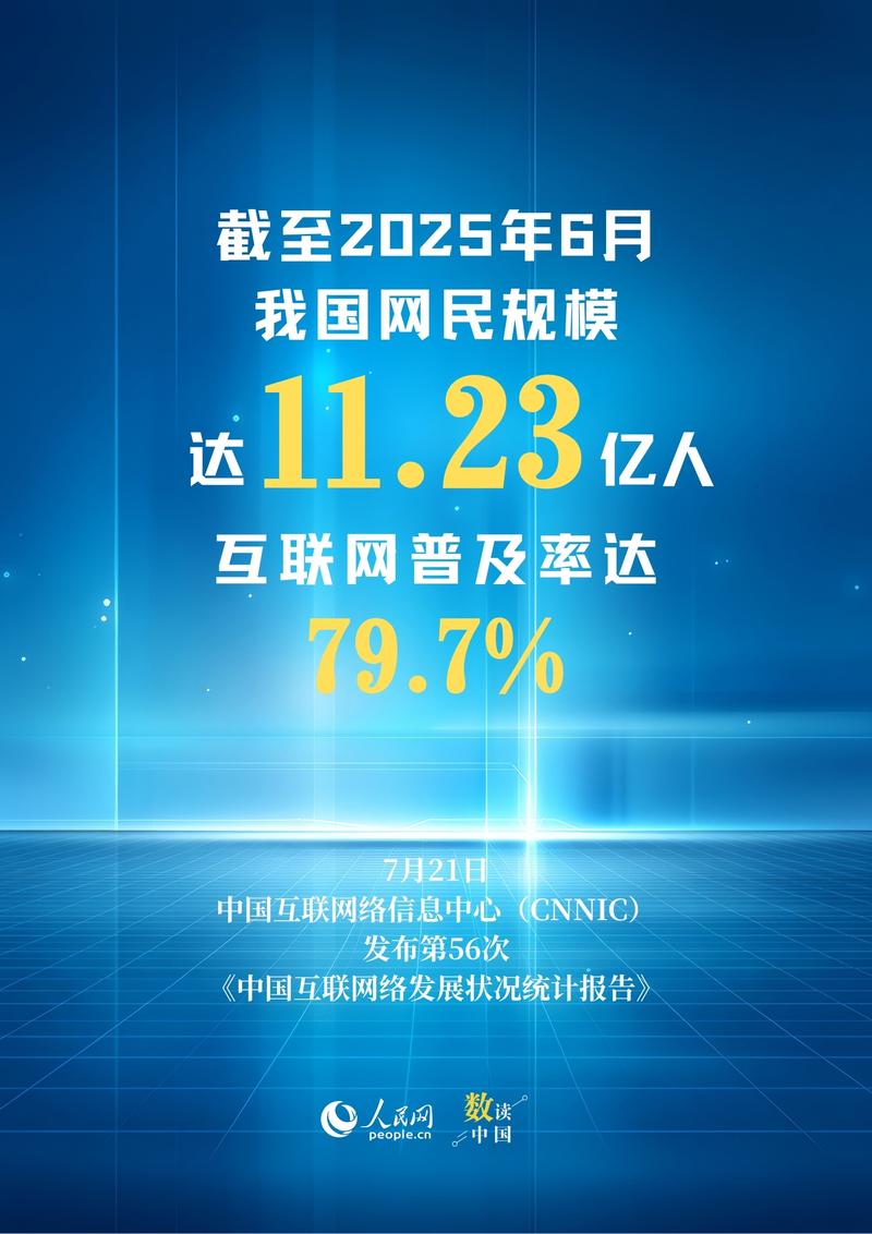 2012年互联网普及率究竟有多高？-图1