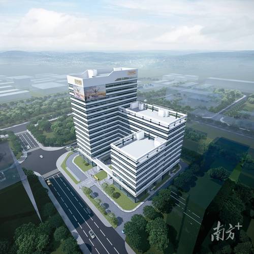 美国运动内衣品牌哪家强?-图1 美国运动内衣品牌哪家强?-图1