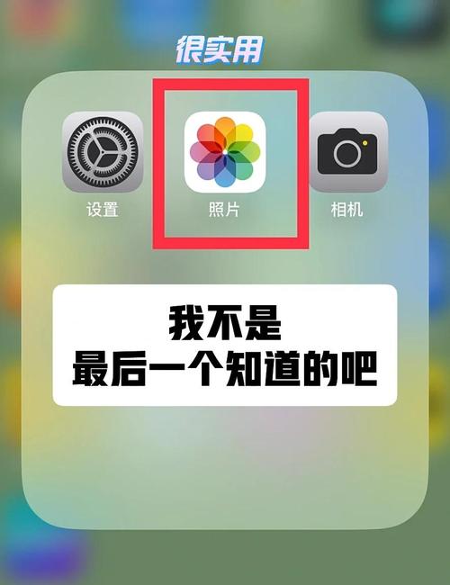 iPhone照片视频教程怎么学?-图2 iPhone照片视频教程怎么学?-图2