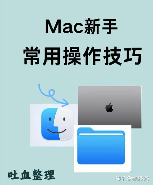 mac os 系统教程 视频教程-图3
