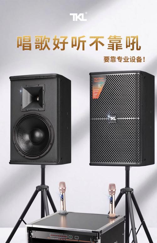 家庭KTV音响品牌哪个好？-图1