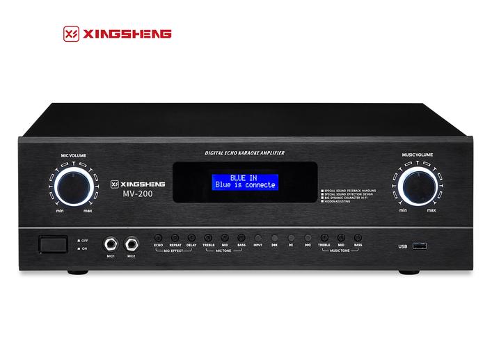 家庭卡拉OK音响选哪个品牌好？-图2