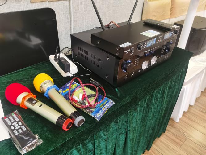 家庭卡拉OK音响选哪个品牌好？-图1