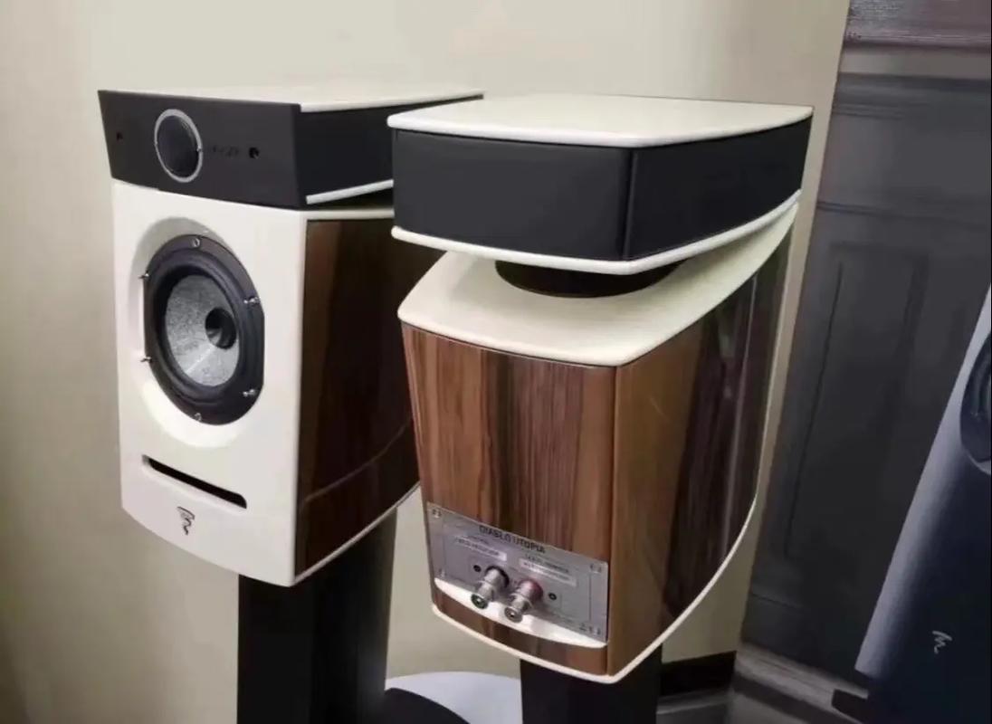 Focal音响是什么品牌?-图3 Focal音响是什么品牌?-图3