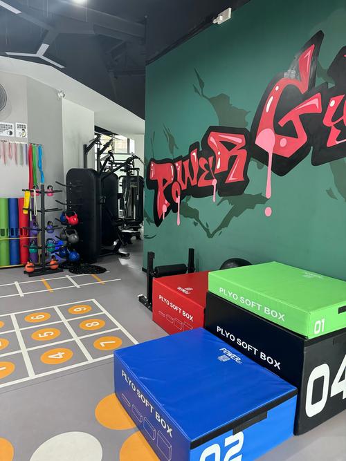 Bluesky健身品牌有何独特魅力？-图2