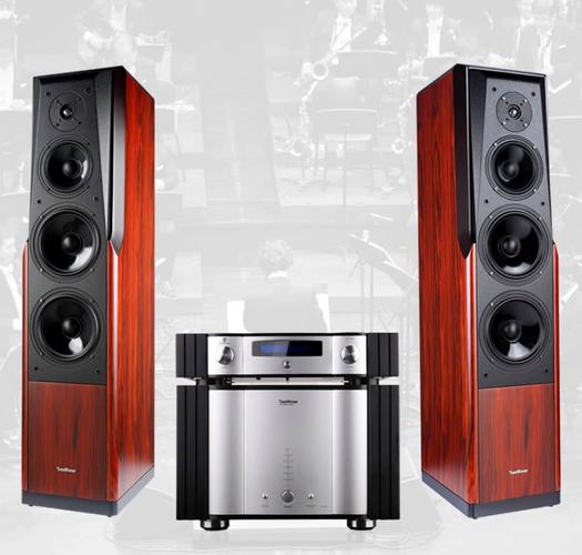 家庭影院音响品牌哪个最好？-图2