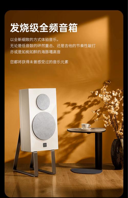 卡拉OK音响品牌怎么选？-图2