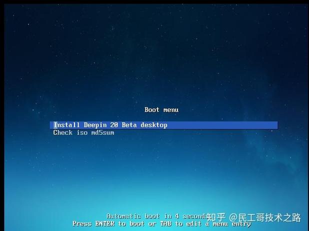 deepin linux安装教程-图3