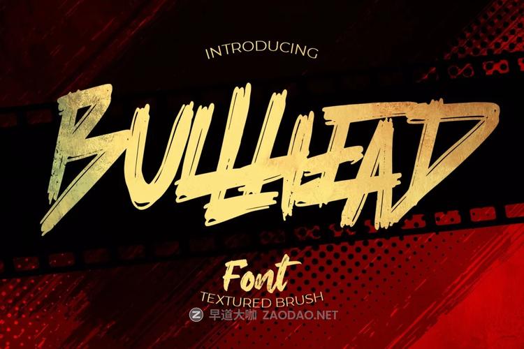 Bullhead品牌有何独特魅力？-图3